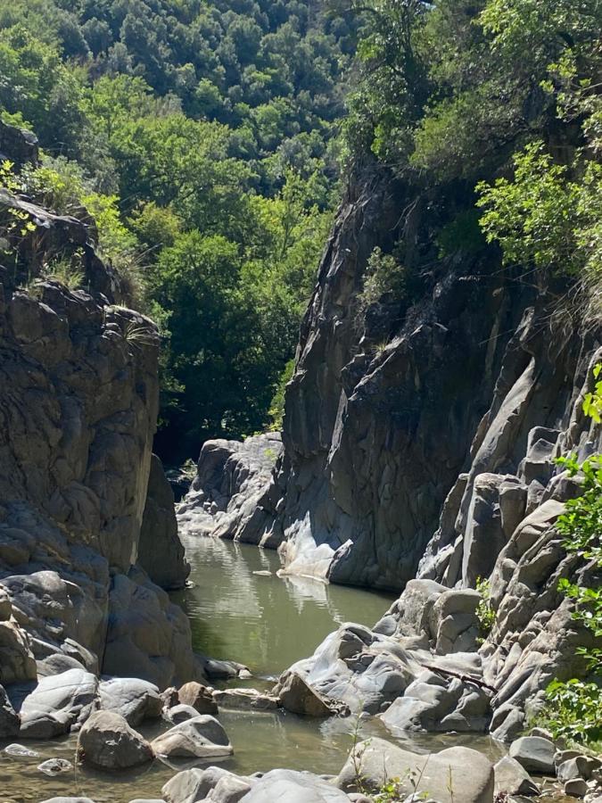 La Colombaia Amiata Panzió Arcidosso Kültér fotó