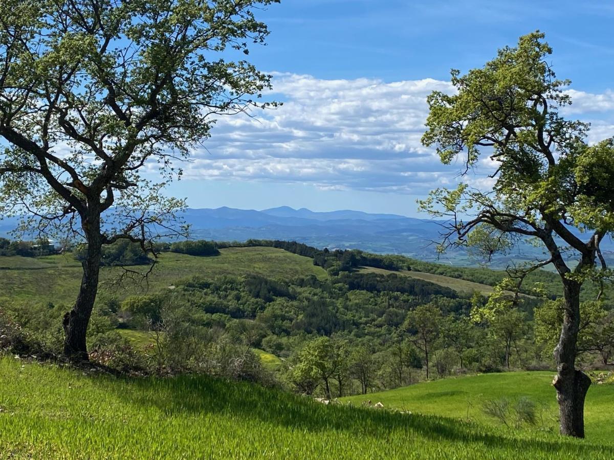 La Colombaia Amiata Panzió Arcidosso Kültér fotó